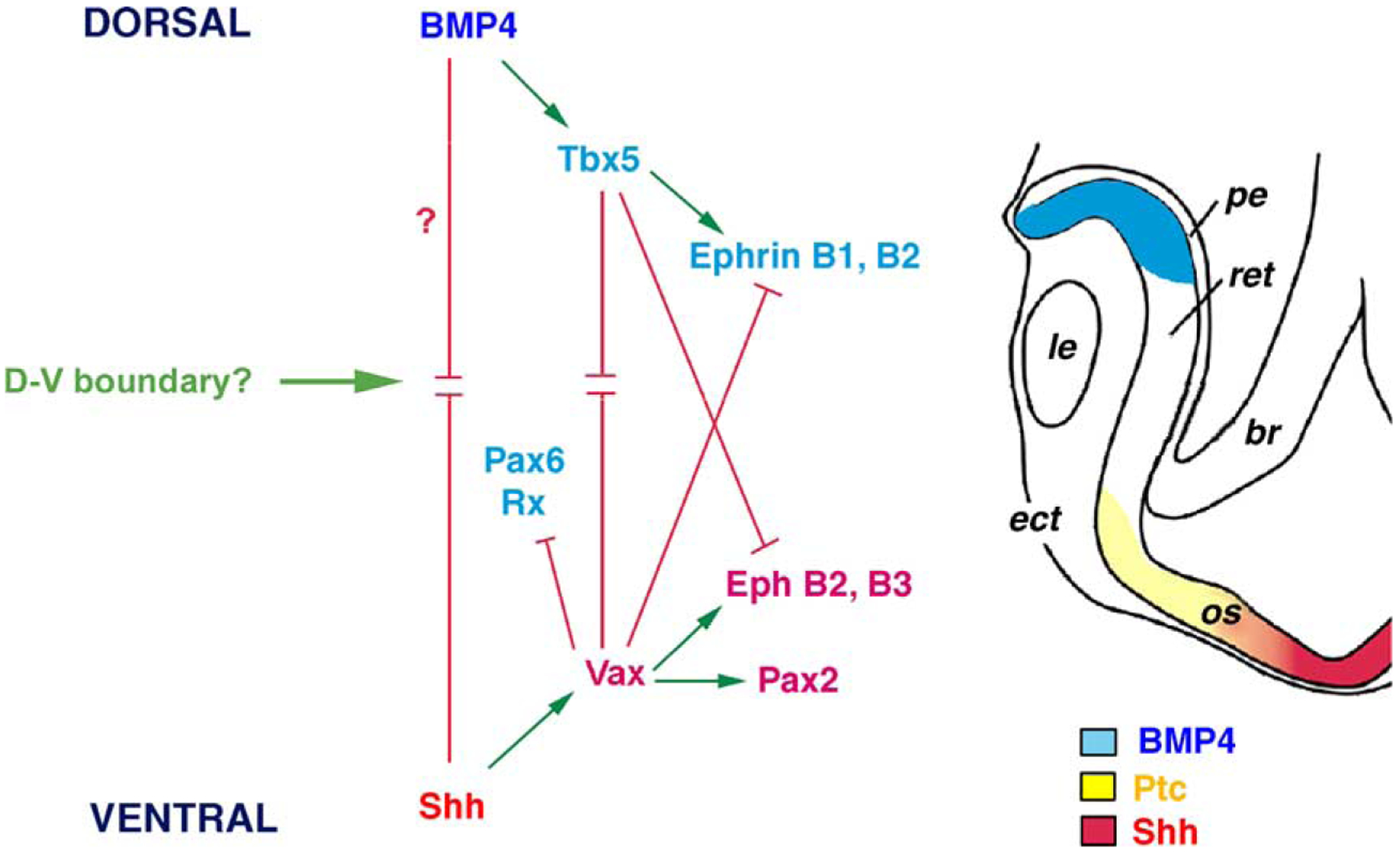 Fig. 1.