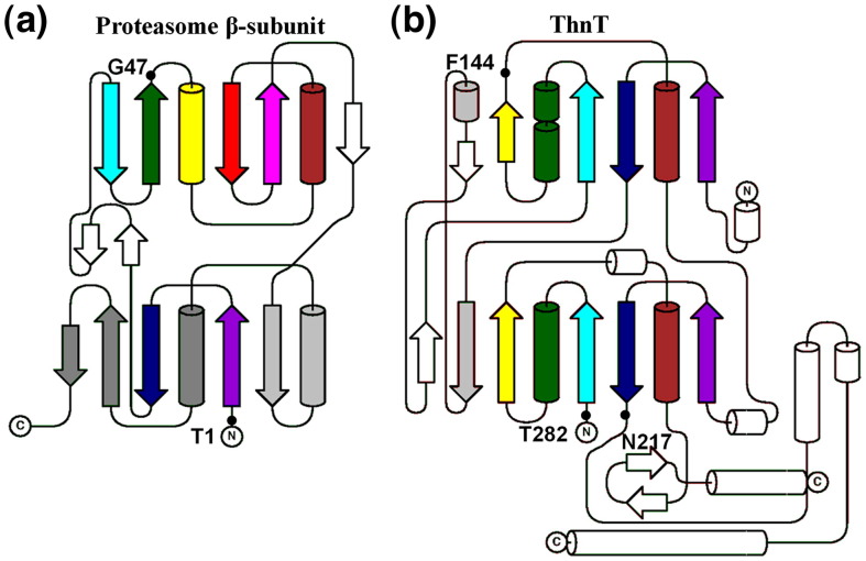 Fig. 4