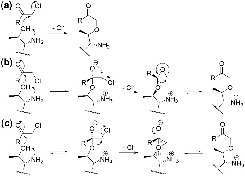 Fig. 6