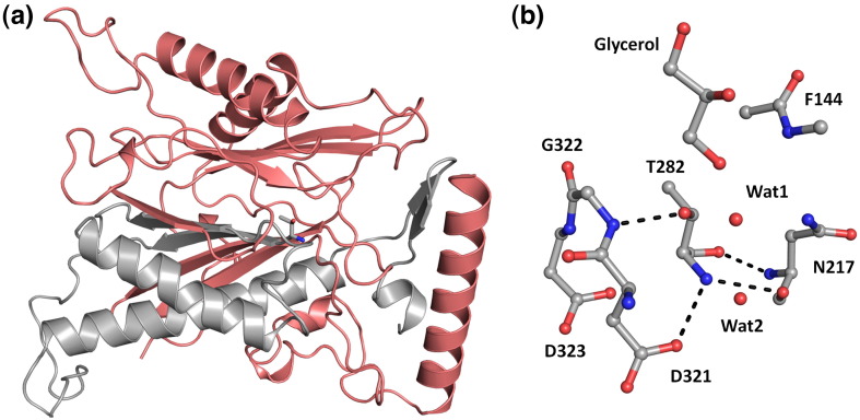 Fig. 2