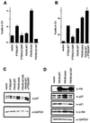 FIG. 7