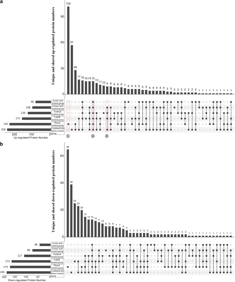 Fig. 3