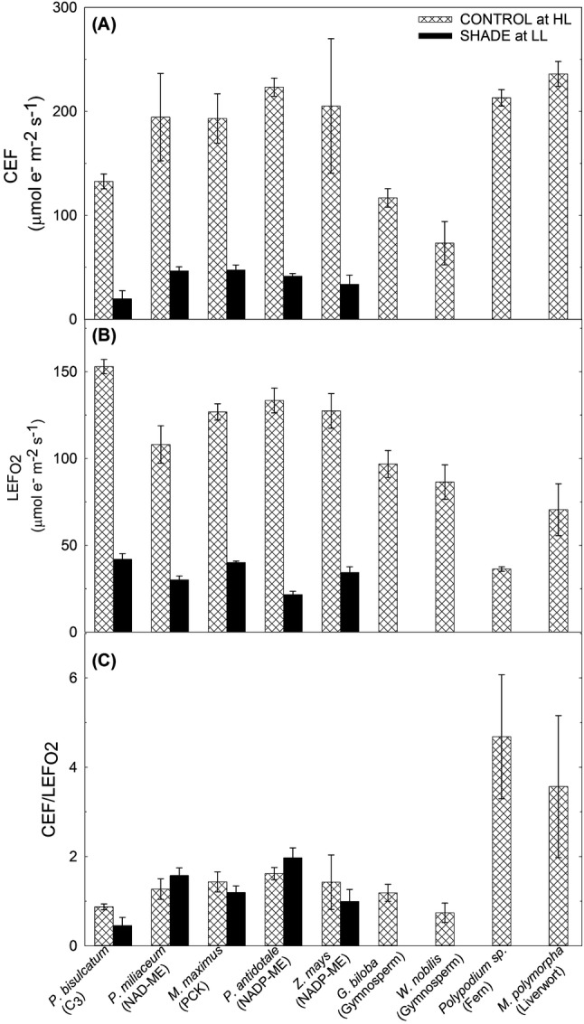 Fig. 4