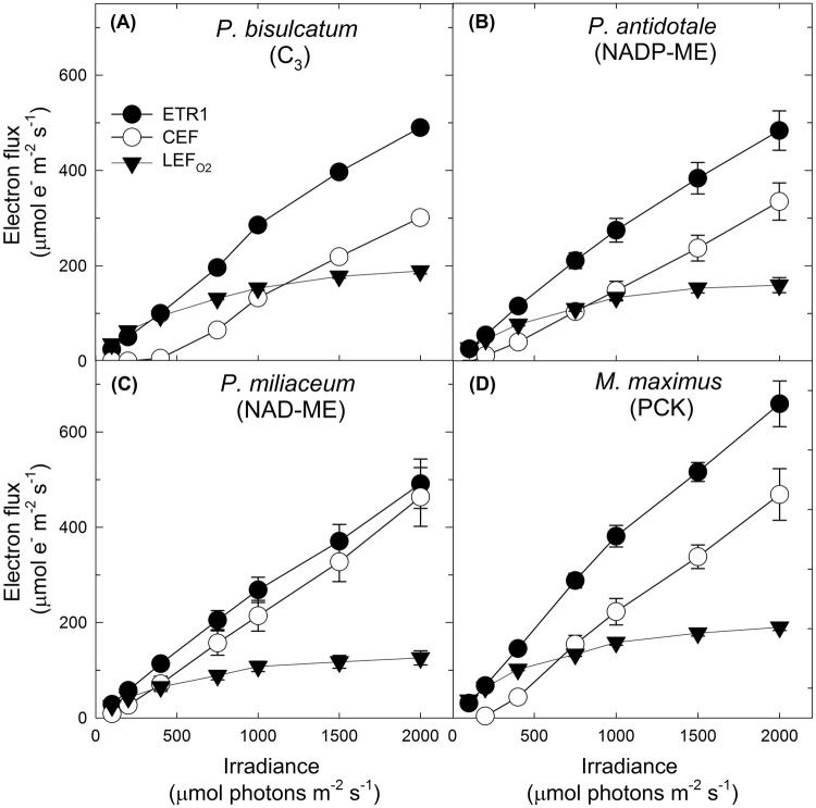 Fig. 2