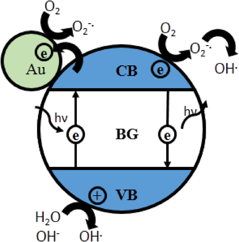 Figure 1