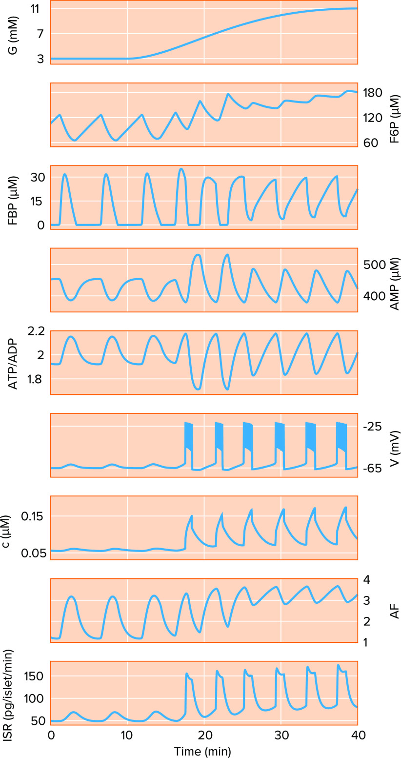 FIGURE 4.