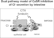 Fig. 9.