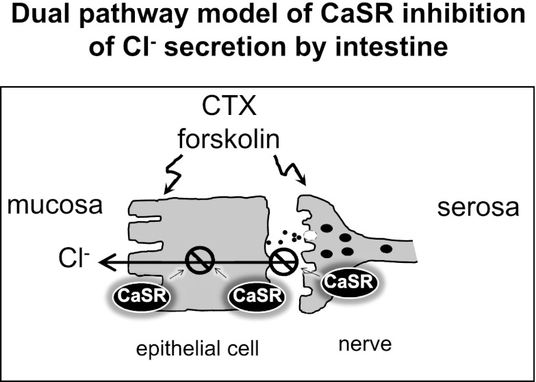 Fig. 9.