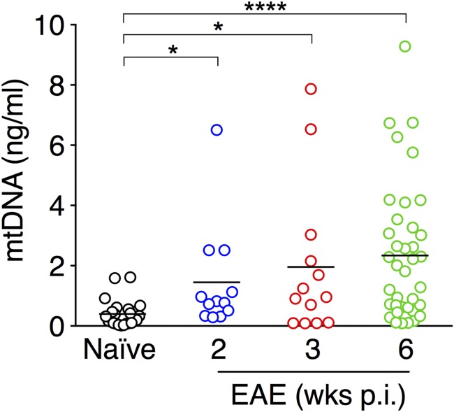 Fig. 6.