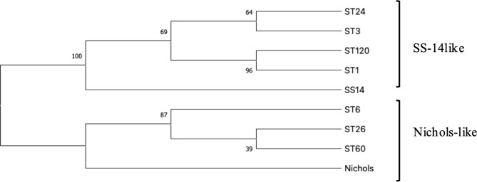 Fig. 2