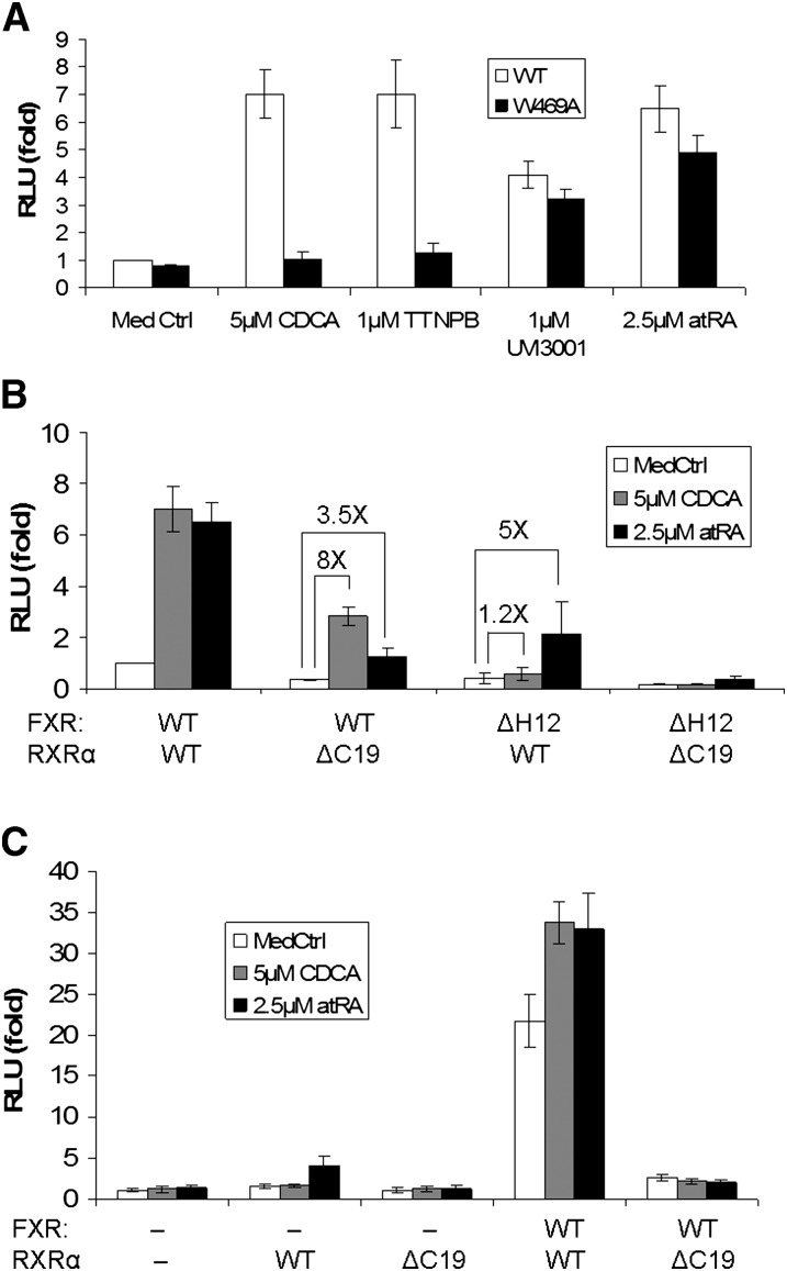 Fig. 6.