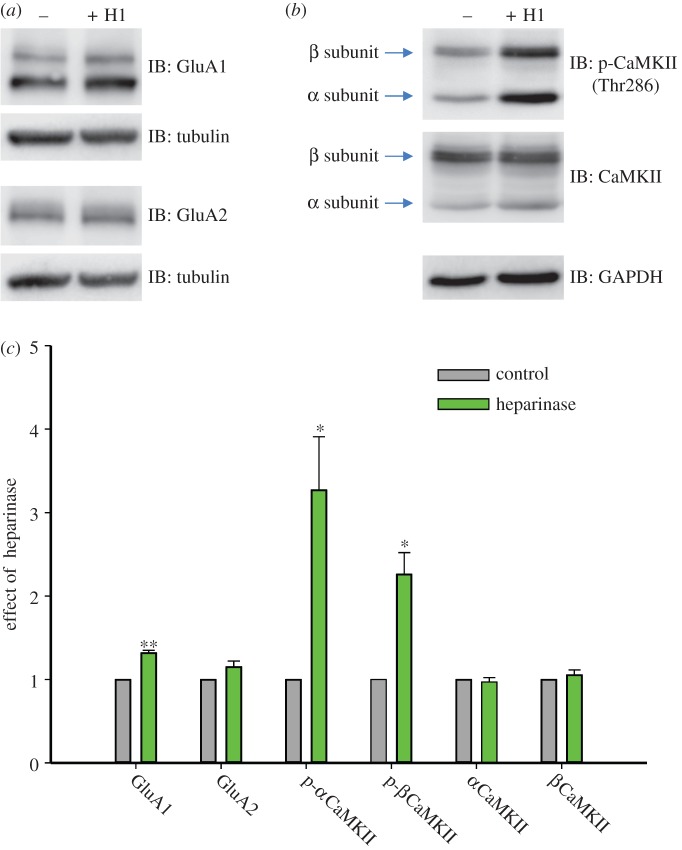 Figure 3.