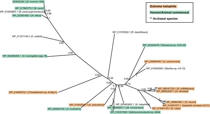 FIGURE 6.