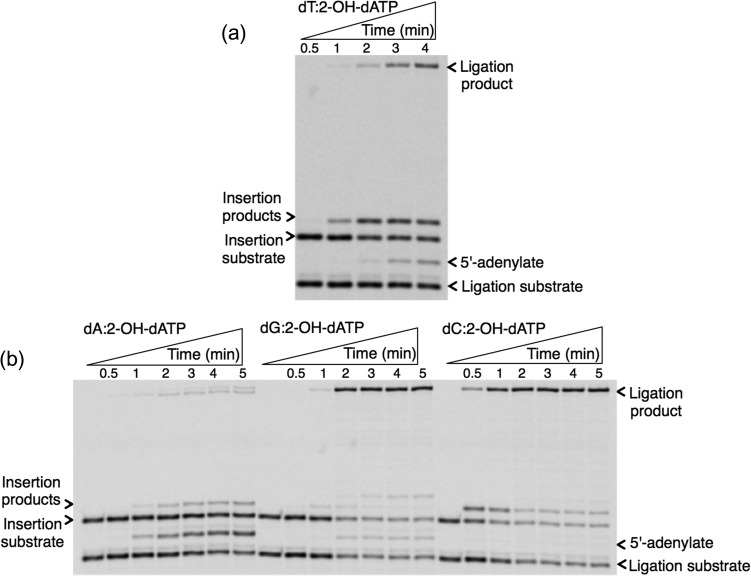 Fig. 4.