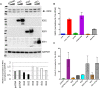 FIG 10