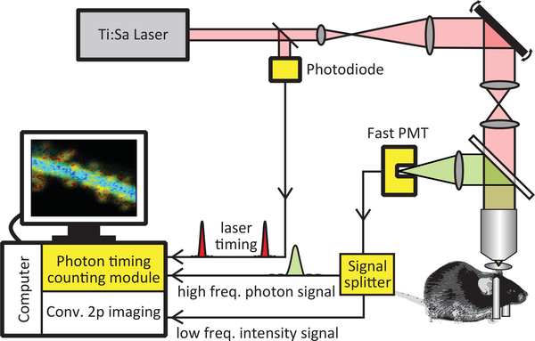 Figure 1: