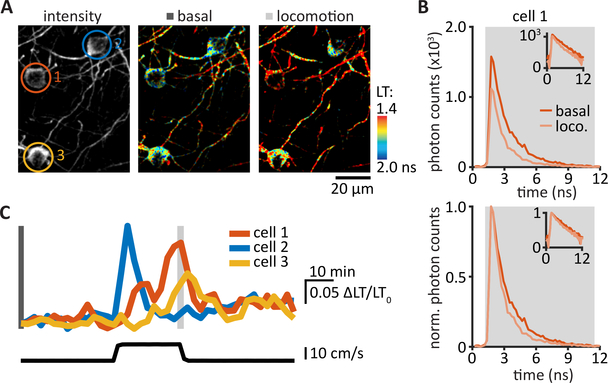 Figure 4: