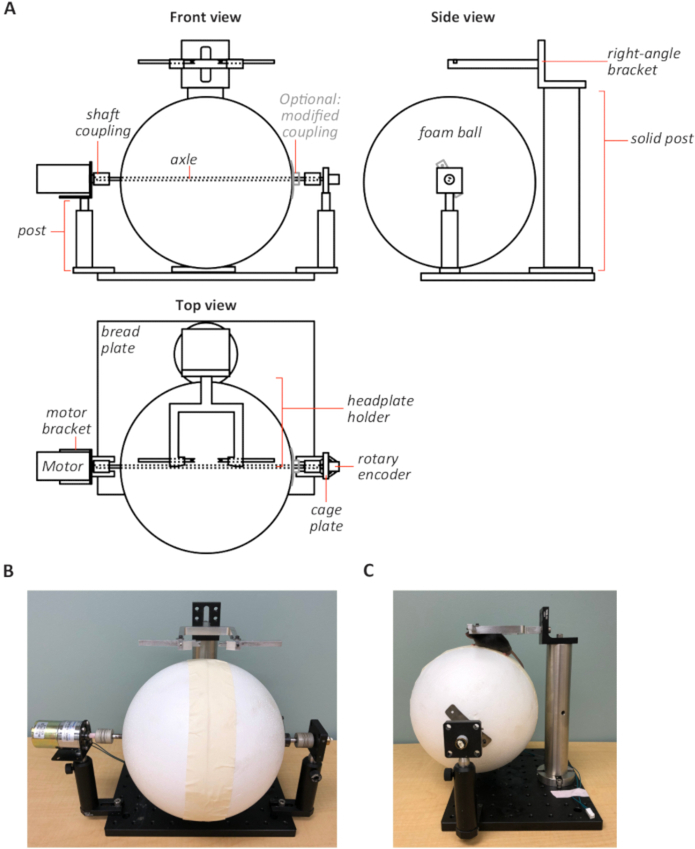 Figure 2: