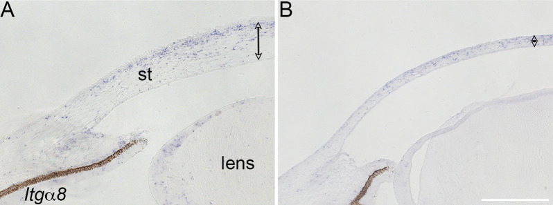 Figure 4—figure supplement 1.