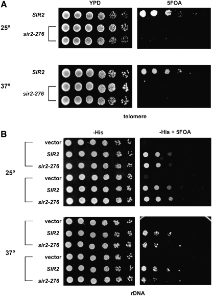 Figure 3.—