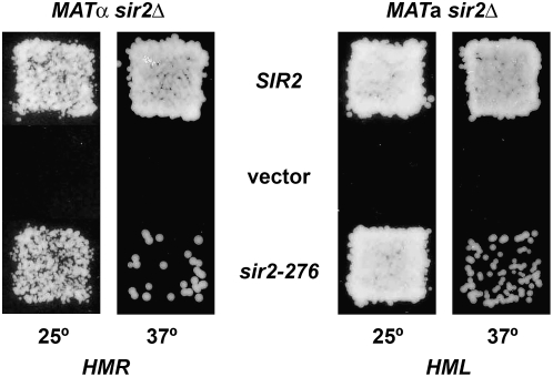 Figure 1.—