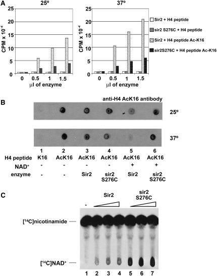 Figure 6.—