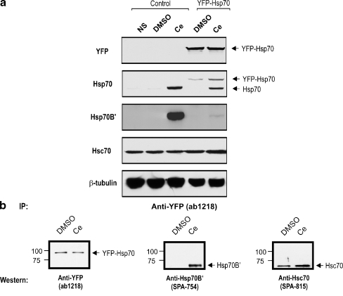 Fig. 4