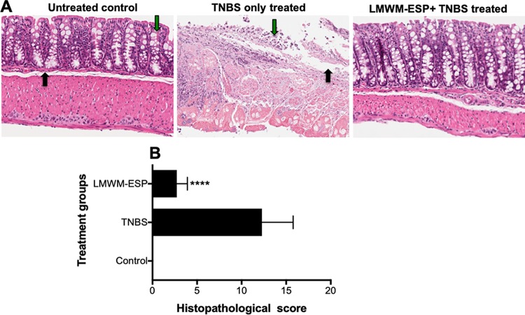 FIG 6