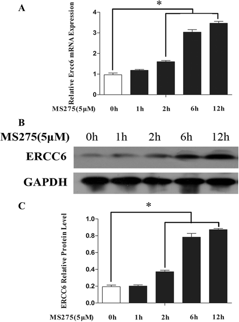 Fig. 11