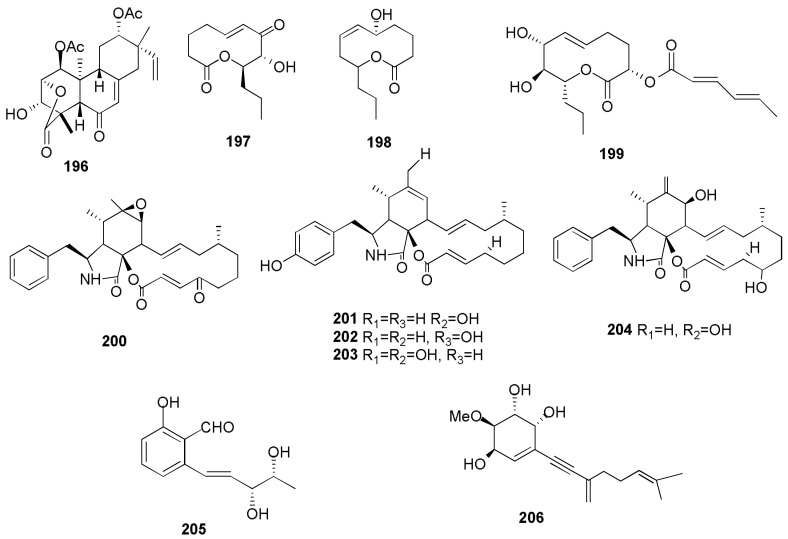 Figure 14