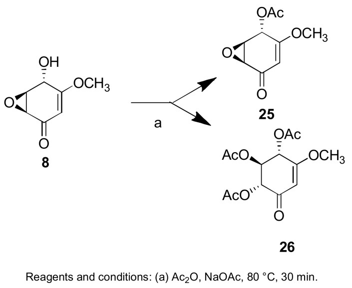 Scheme 5