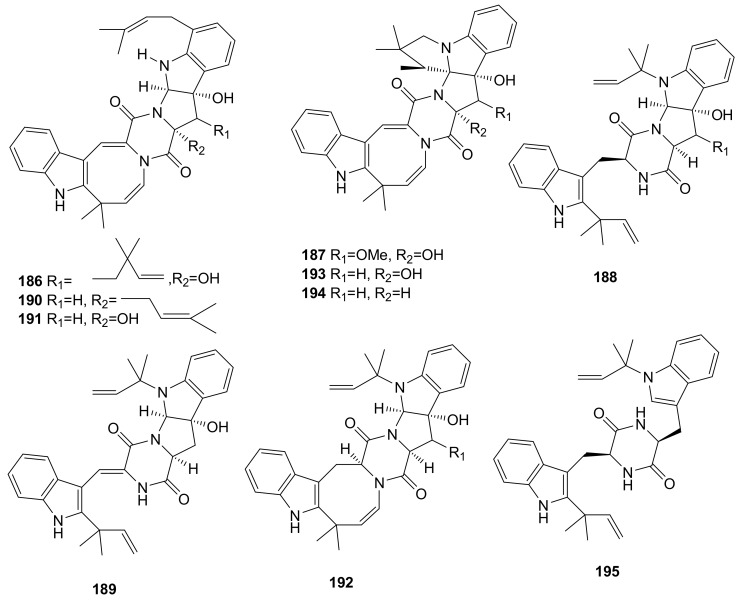 Figure 13