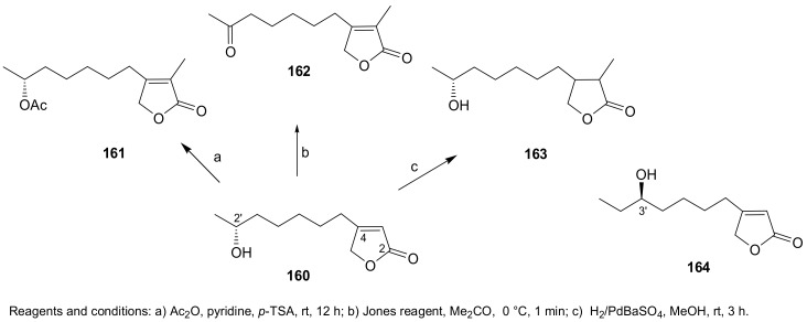 Scheme 12