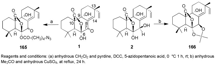 Scheme 13