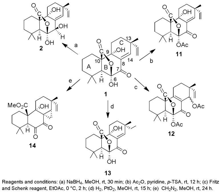 Scheme 1