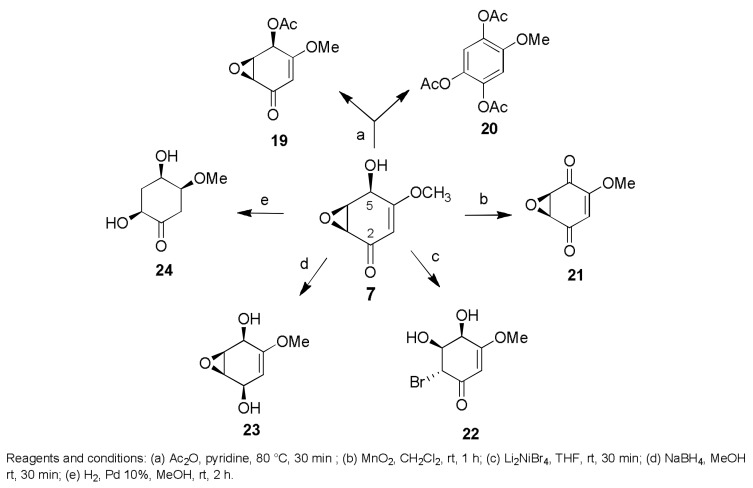 Scheme 4