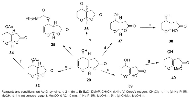 Scheme 6