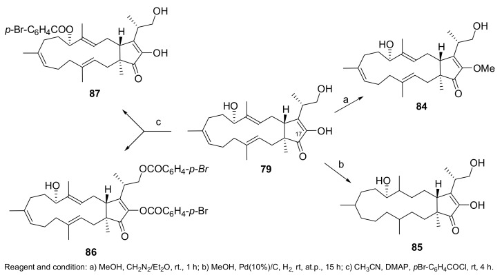 Scheme 8