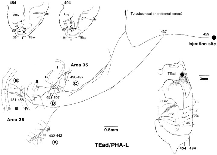 Fig. 13.