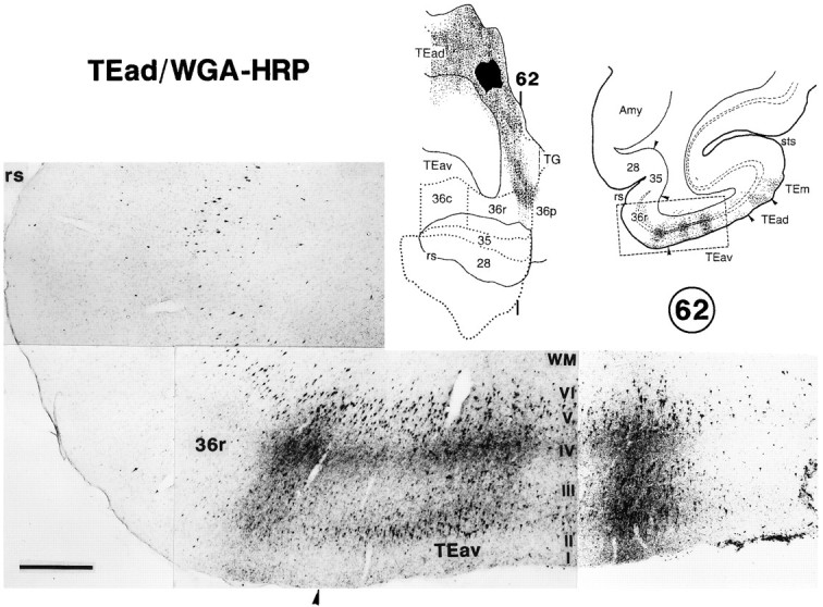 Fig. 17.