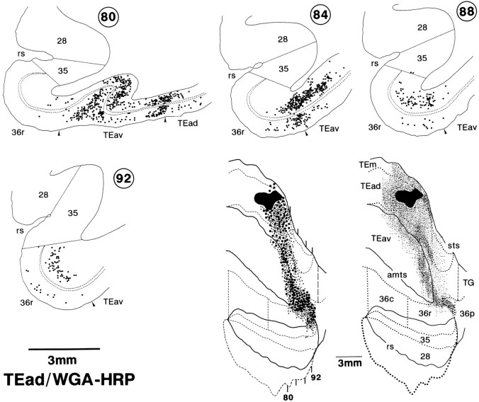 Fig. 16.