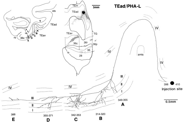 Fig. 14.