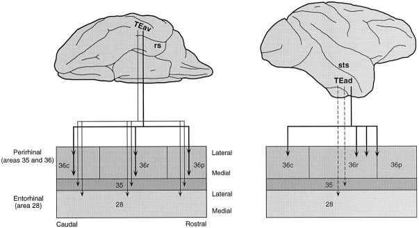 Fig. 18.