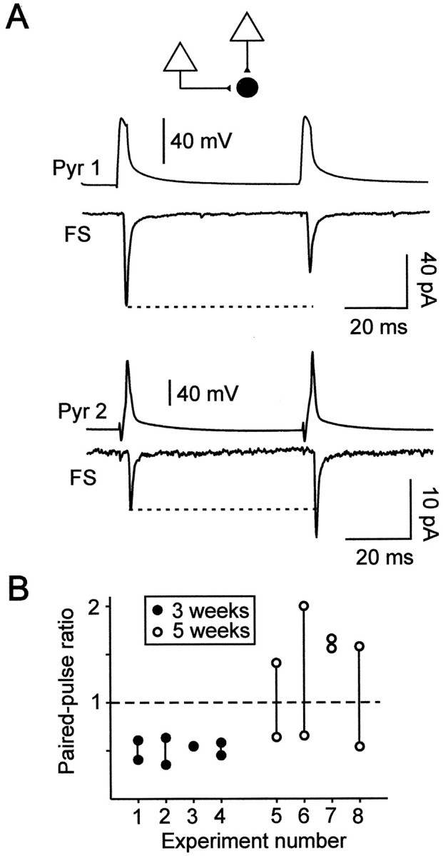 Fig. 5.