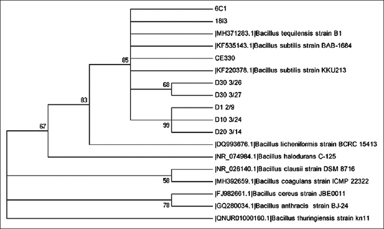 Figure-5