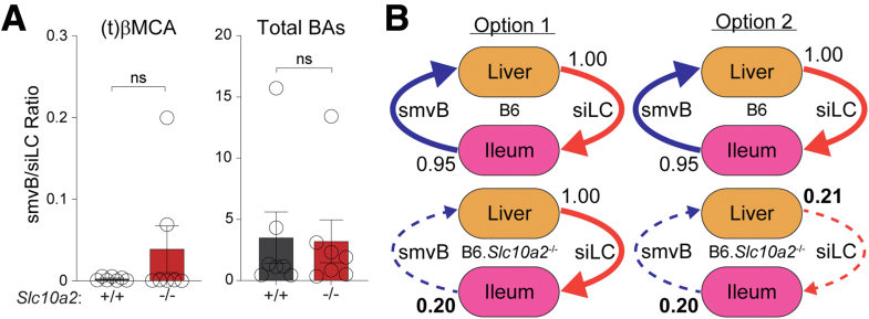 Figure 7