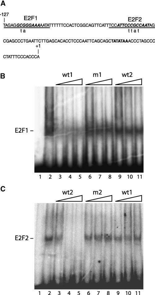 Figure 1.