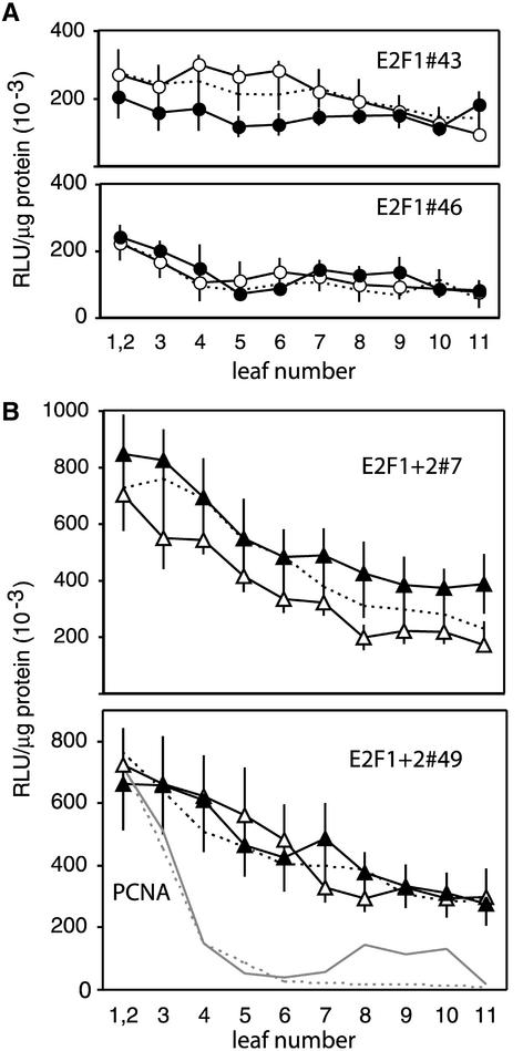 Figure 5.