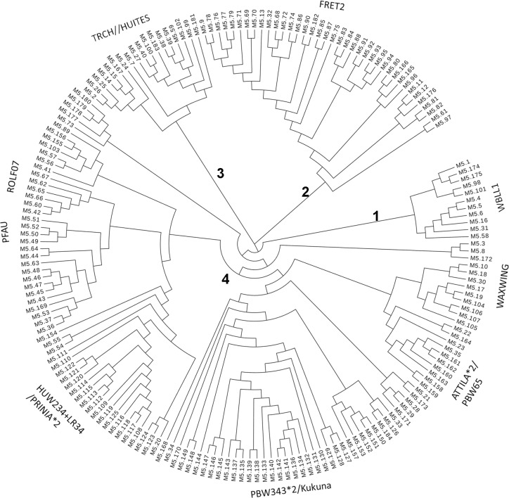 Fig 1