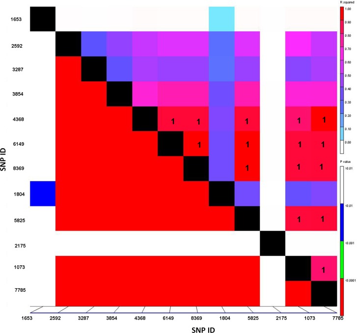 Fig 3